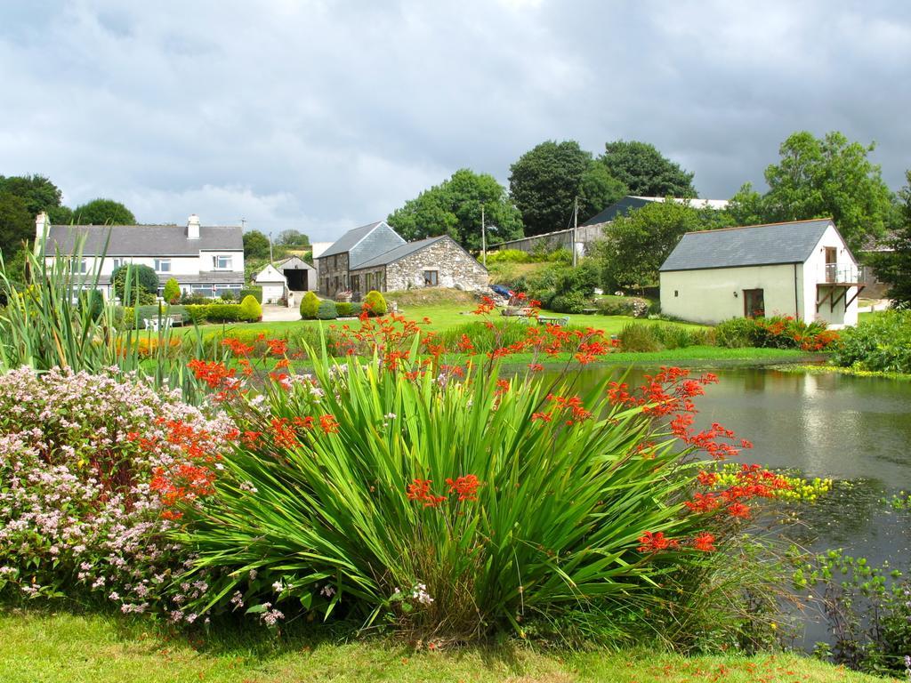 Polhilsa Farm Bed & Breakfast Callington Exterior foto